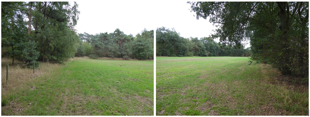 afbeelding "i_NL.IMRO.0988.BPNatuurbegraaf-ON01_0008.png"