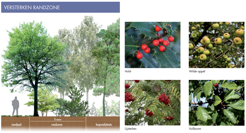 afbeelding "i_NL.IMRO.0988.BPNatuurbegraaf-ON01_0011.png"