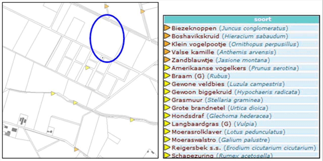 afbeelding "i_NL.IMRO.1507.PBGRLOSBAAN12-OH01_0018.jpg"