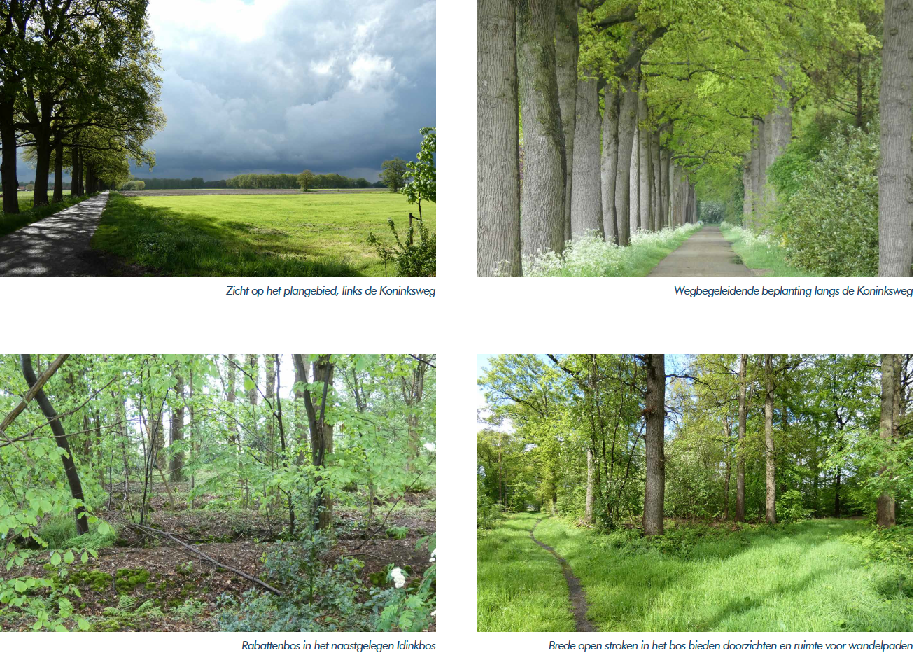afbeelding "i_NL.IMRO.1509.BP000206-VA01_0004.png"