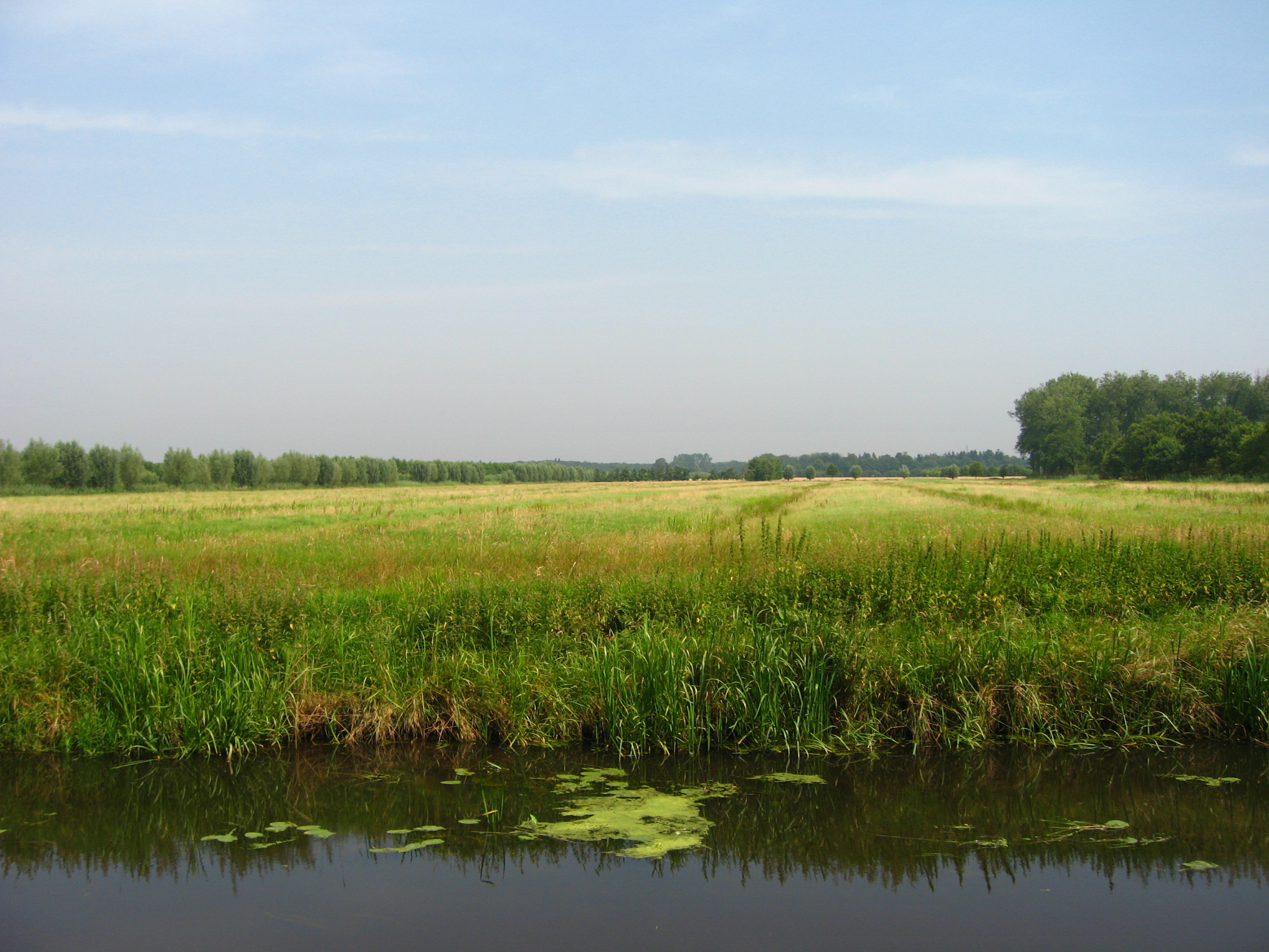 afbeelding "i_NL.IMRO.1581.DBGlangbroekrdk29-VA01_0008.jpg"