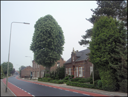 afbeelding "i_NL.IMRO.1640.BP13KernGrathem-VG01_0010.png"