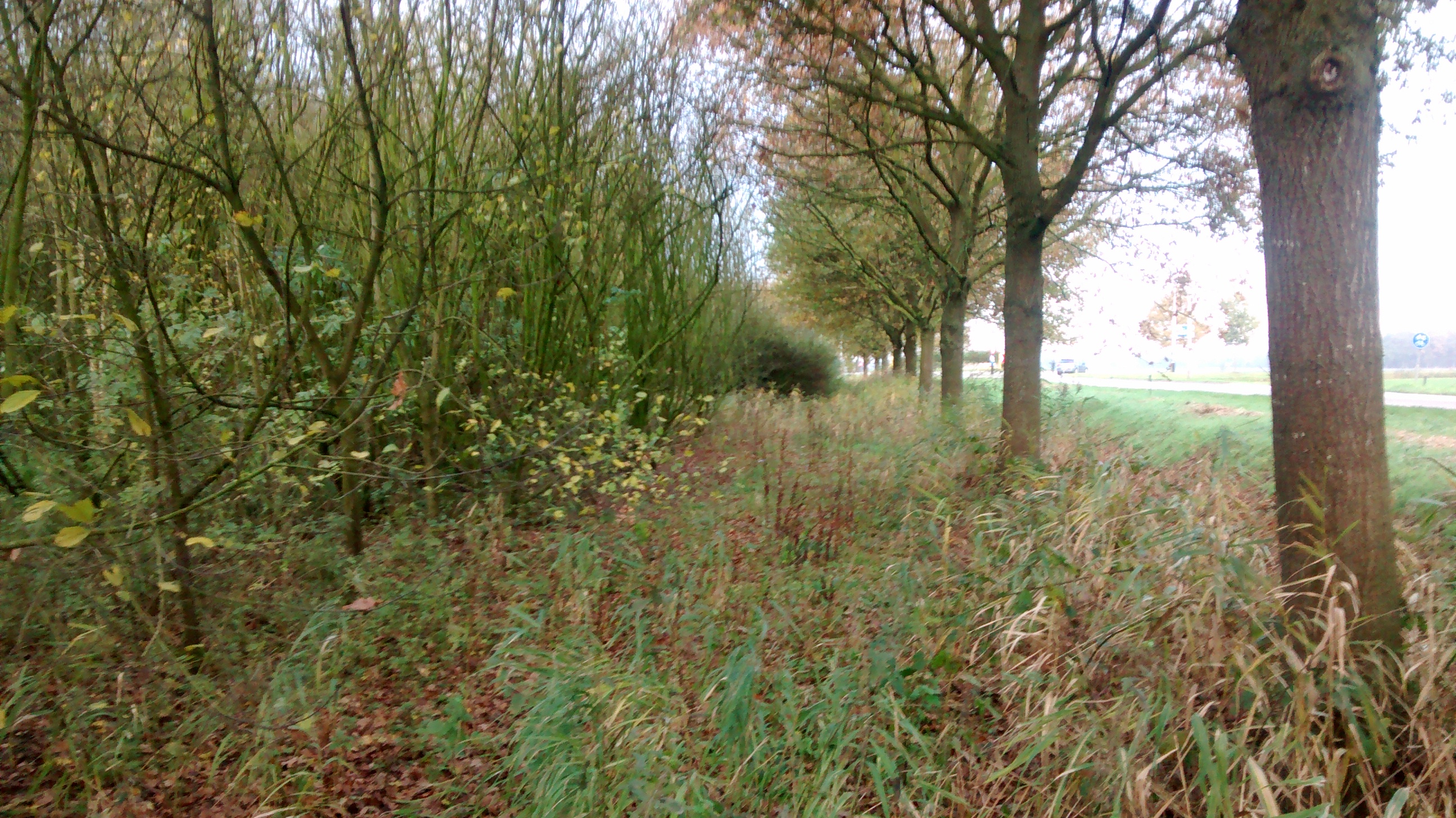 afbeelding "i_NL.IMRO.1640.BP19NeHeldenseweg-VG01_0004.jpg"