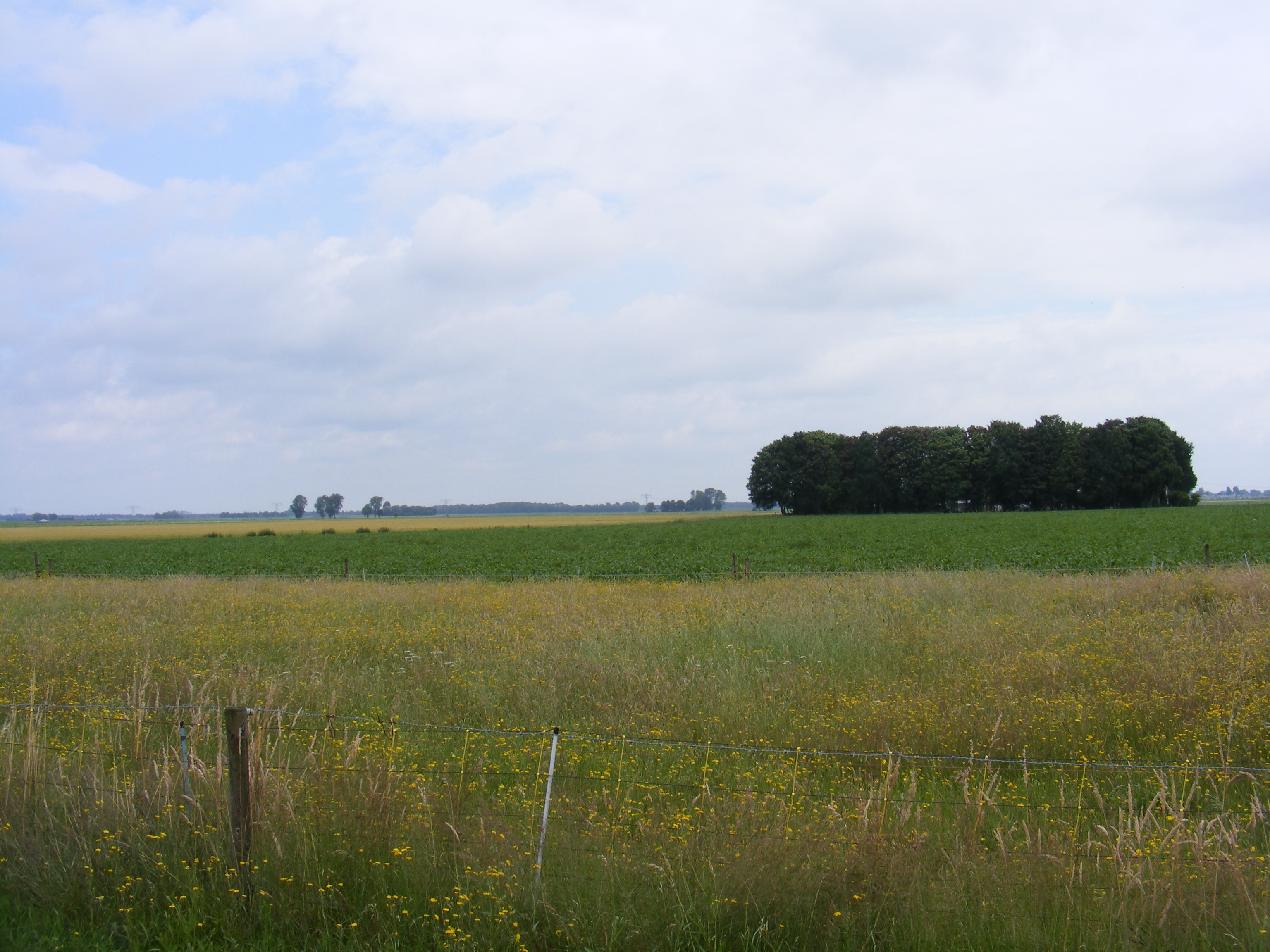 afbeelding "i_NL.IMRO.1680.ANNANNERSTR65-VB01_0013.jpg"
