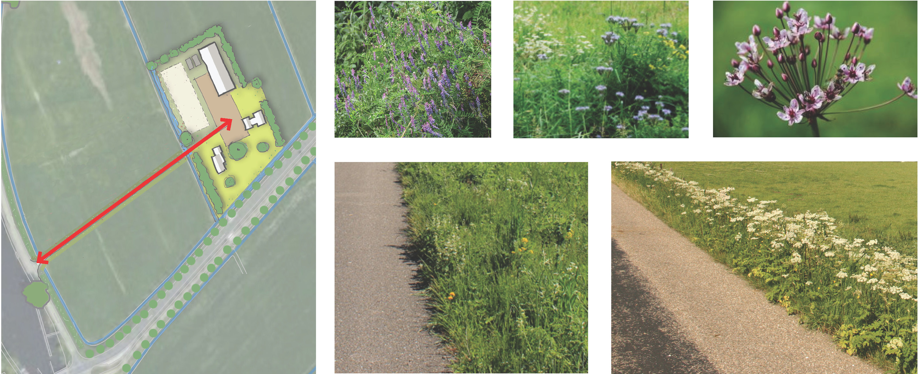 afbeelding "i_NL.IMRO.1696.UP0900Randweg2015-va00_0015.jpg"