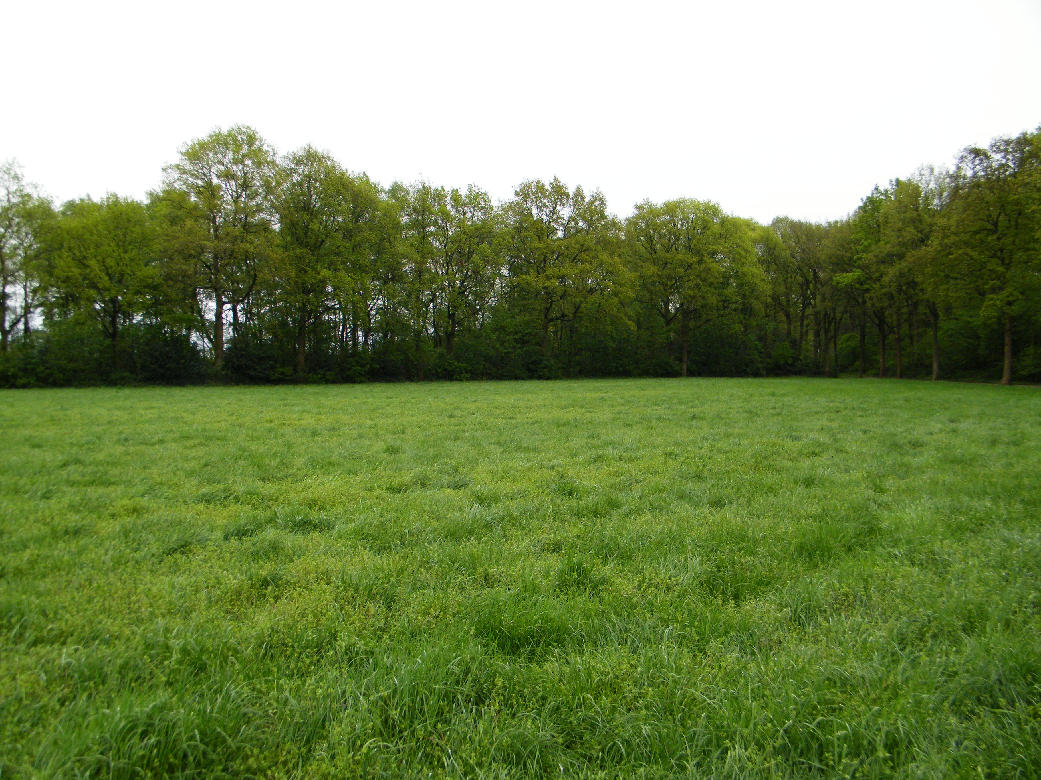 afbeelding "i_NL.IMRO.1701.509PHLhebroek22DGL-0003_0010.jpg"