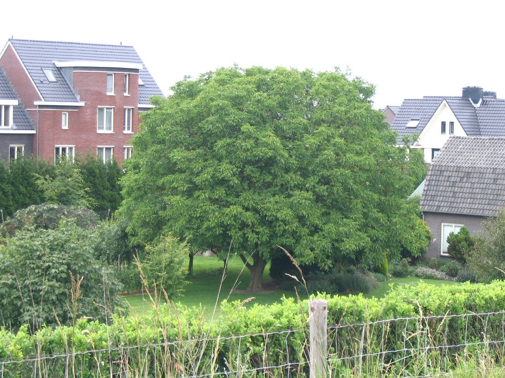 afbeelding "i_NL.IMRO.1705.285-VG01_0009.jpg"