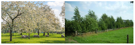 afbeelding "i_NL.IMRO.1705.289-VG01_0009.png"