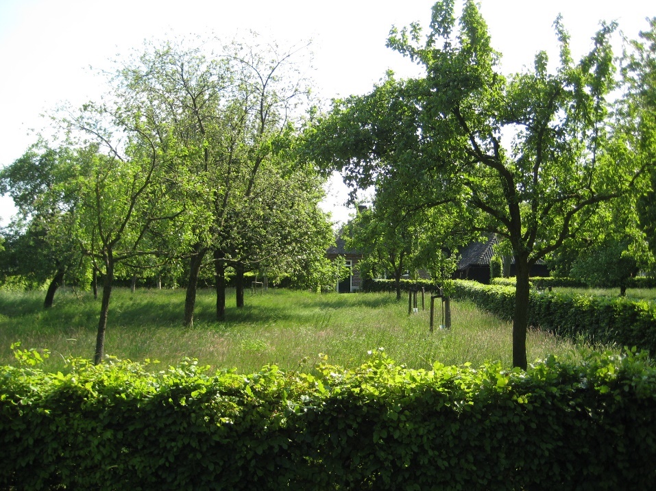 afbeelding "i_NL.IMRO.1705.304-ON01_0006.jpg"