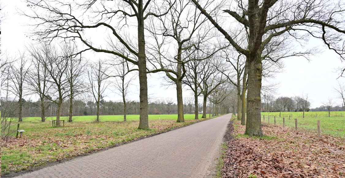 afbeelding "i_NL.IMRO.1706.BPBG3092-VO01_0031.png"