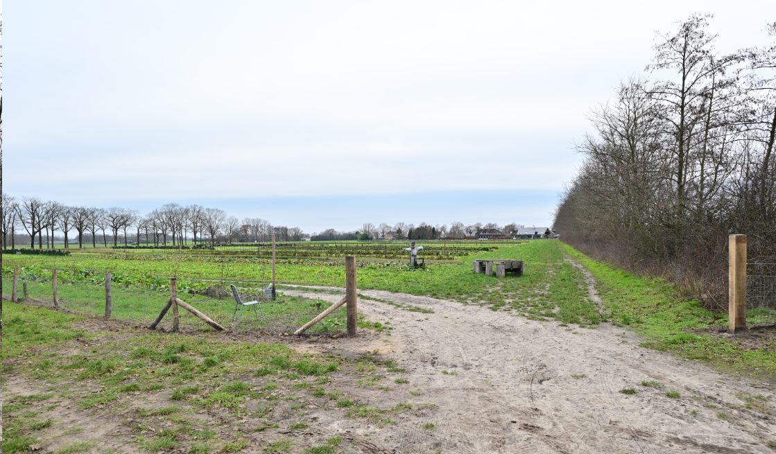 afbeelding "i_NL.IMRO.1706.BPBG3092-VO01_0085.png"