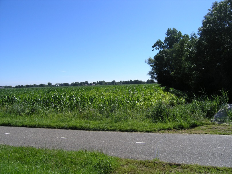 afbeelding "i_NL.IMRO.1708.GHNschoolgiethBP-VA01_0008.jpg"