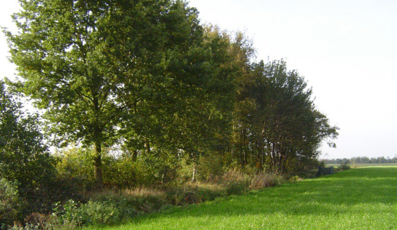 afbeelding "i_NL.IMRO.1711.BP20200073-VG01_0011.png"