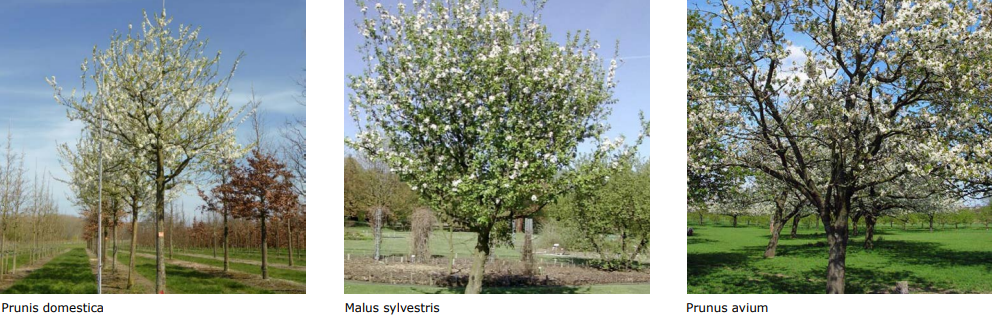 afbeelding "i_NL.IMRO.1719.0bp21drim27pluk58a-vg01_0020.png"