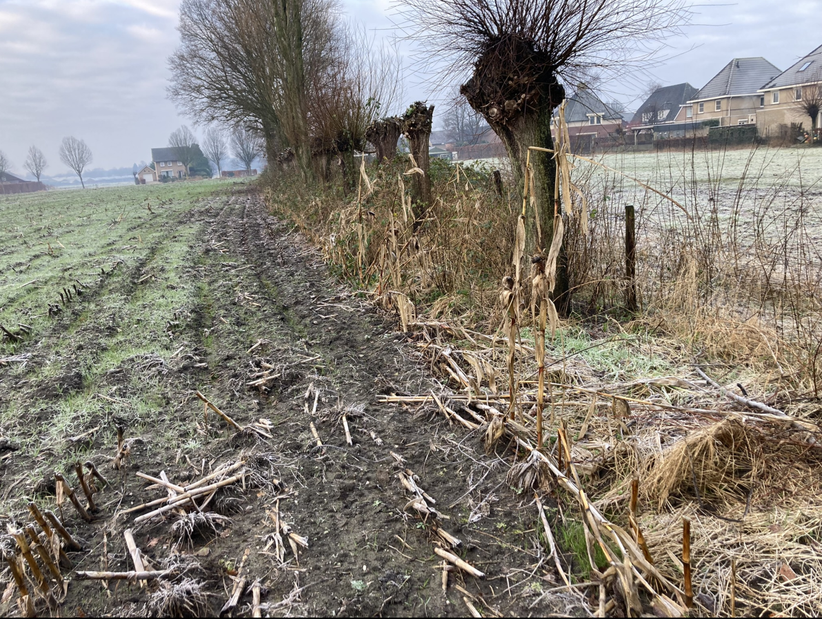 afbeelding "i_NL.IMRO.1721.BPAchterstrDelst-OW01_0008.png"