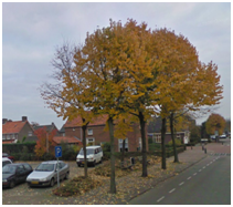 afbeelding "i_NL.IMRO.1721.BPDenTol-ow01_0010.png"