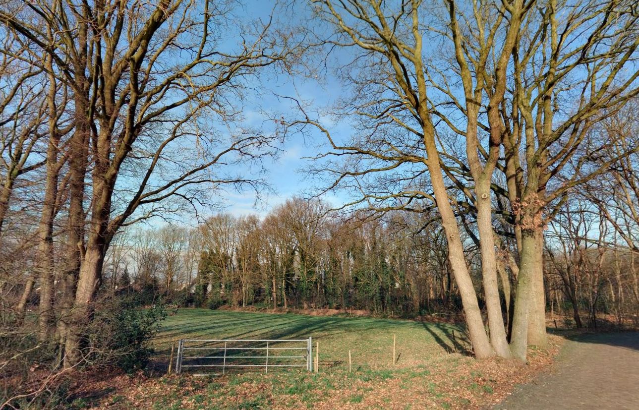 afbeelding "i_NL.IMRO.1721.BPHoefstraatong-vg01_0005.jpg"