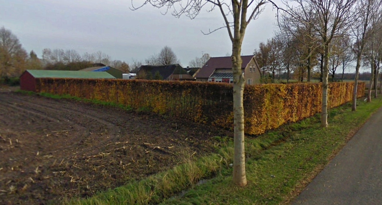 afbeelding "i_NL.IMRO.1721.BPZoggelsestr88-OW01_0006.jpg"