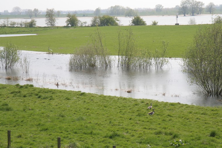 afbeelding "i_NL.IMRO.1734.0007BUITbuitengebi-GOH2_0004.jpg"