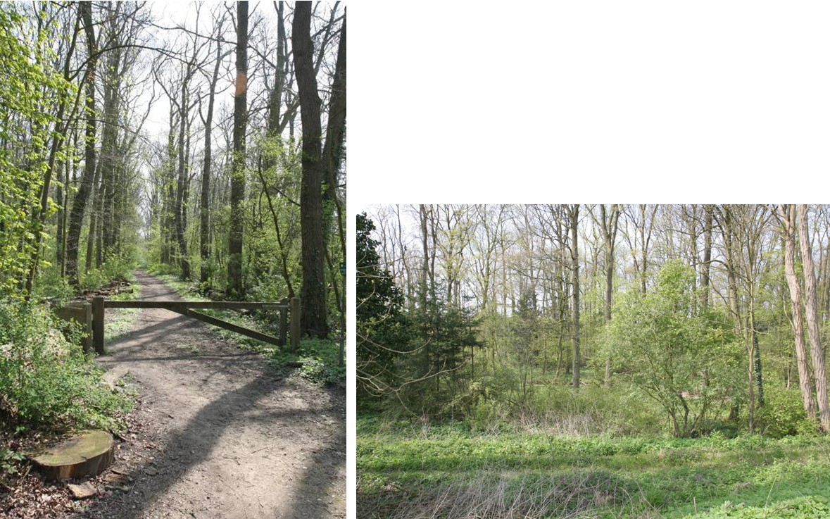 afbeelding "i_NL.IMRO.1734.0007BUITbuitengebi-GOH2_0005.jpg"