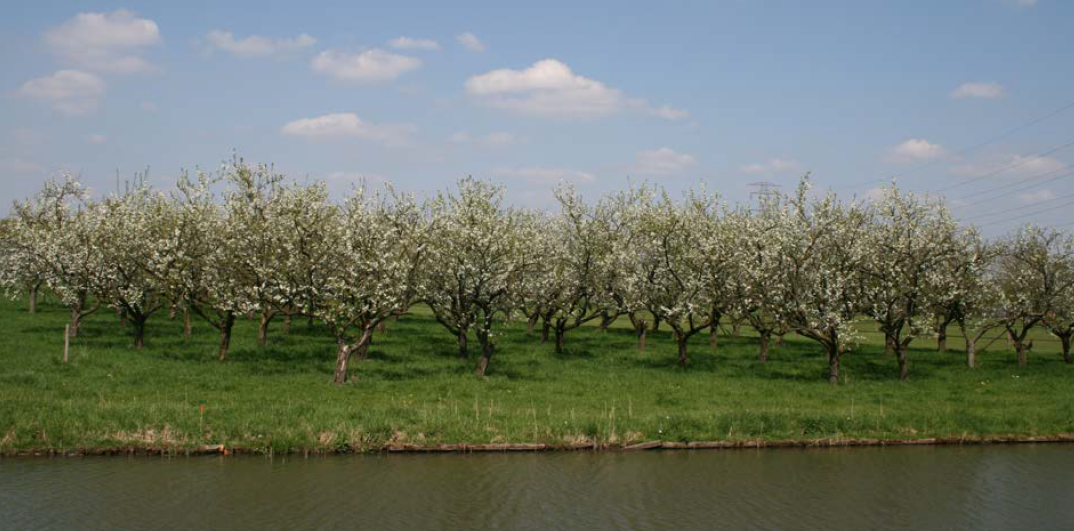 afbeelding "i_NL.IMRO.1734.0371BUITgrtmln155-VSG1_0005.png"