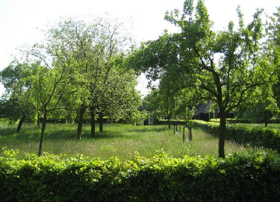 afbeelding "i_NL.IMRO.1740.tamYZkeizerstr24-ont1_0007.png"