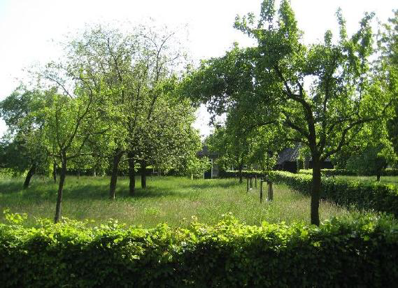afbeelding "i_NL.IMRO.1740.tamYZkeizerstr24-vst1_0007.png"