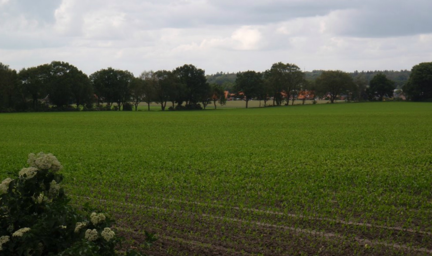 afbeelding "i_NL.IMRO.1742.BPB2013005-0401_0004.jpg"