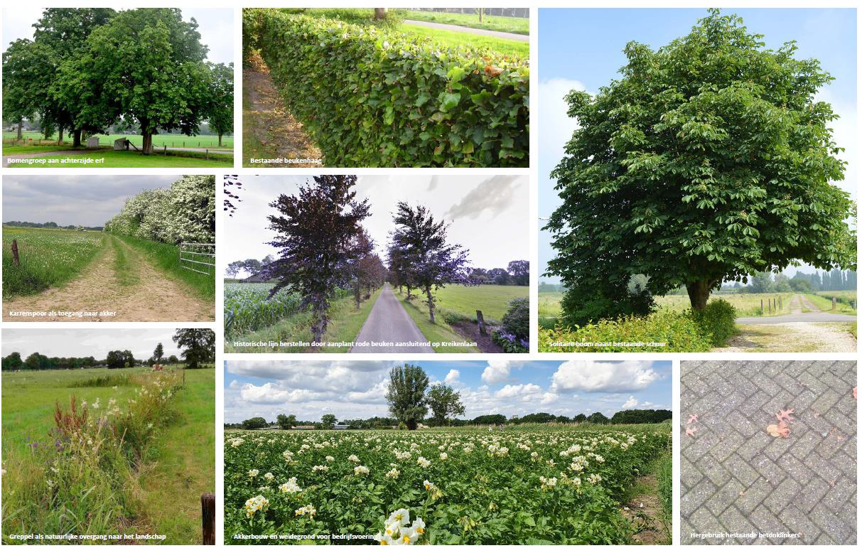 afbeelding "i_NL.IMRO.1773.BP202205013-0301_0015.png"