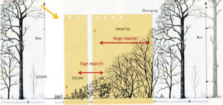 afbeelding "i_NL.IMRO.1774.TAMBUIBOSSENSTRTG-VG01_0007.png"