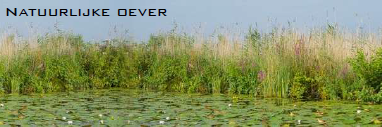 afbeelding "i_NL.IMRO.1783.OINOOSTLRNDWGpbp-VA01_0015.png"