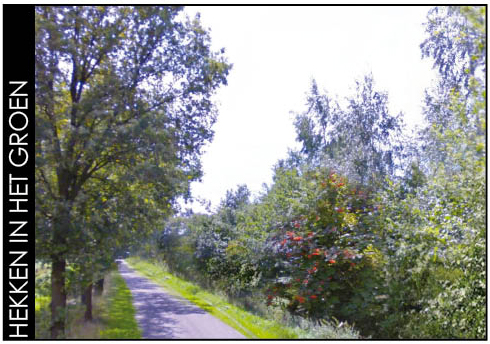 afbeelding "i_NL.IMRO.1859.BPBGB20090021-1000_0018.jpg"