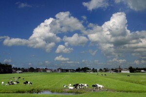 afbeelding "i_NL.IMRO.1884.BPBUITENGEBIEDWEST-VAS1_0013.jpg"