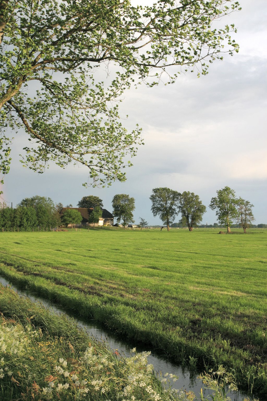 afbeelding "i_NL.IMRO.1896.SV2011-0003_0002.jpg"