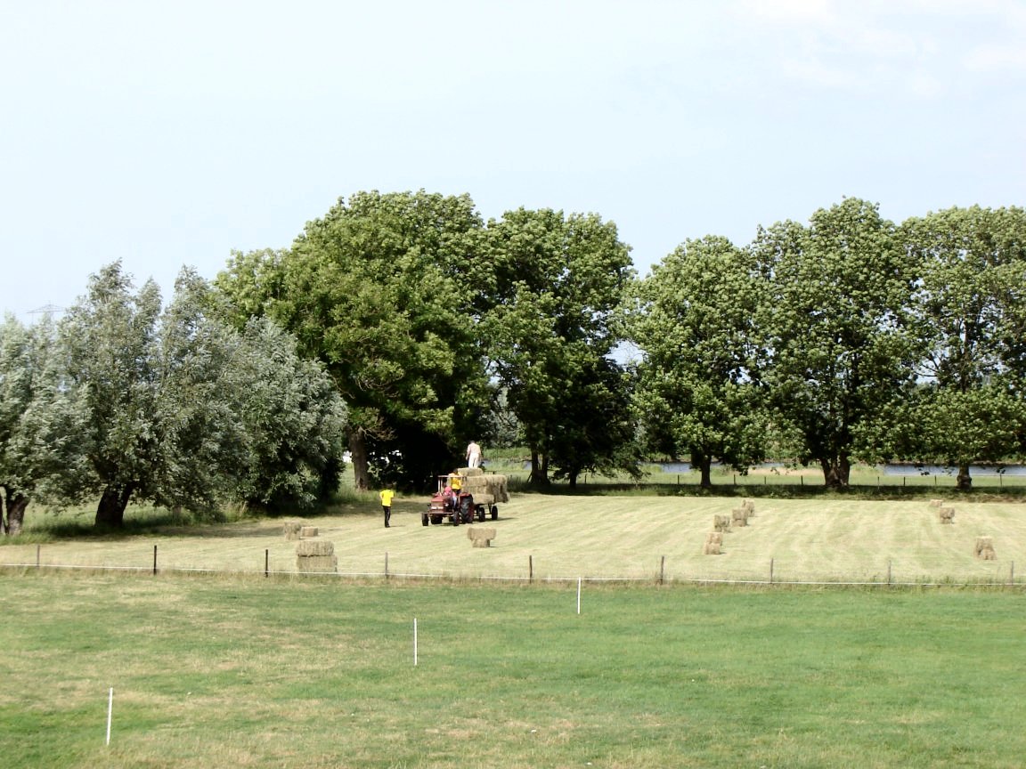 afbeelding "i_NL.IMRO.1896.SV2011-0003_0015.jpg"