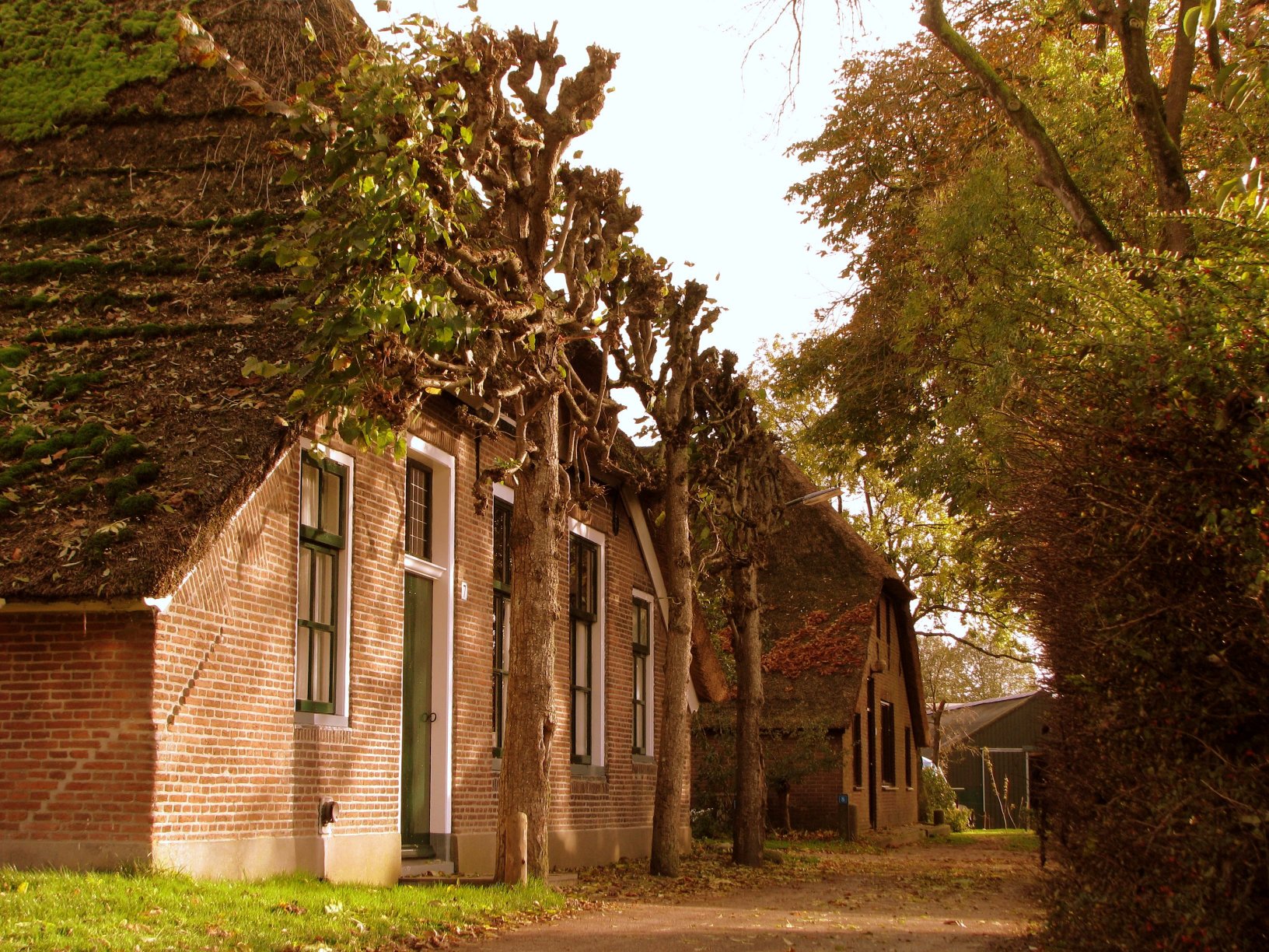 afbeelding "i_NL.IMRO.1896.SV2011-0003_0016.jpg"