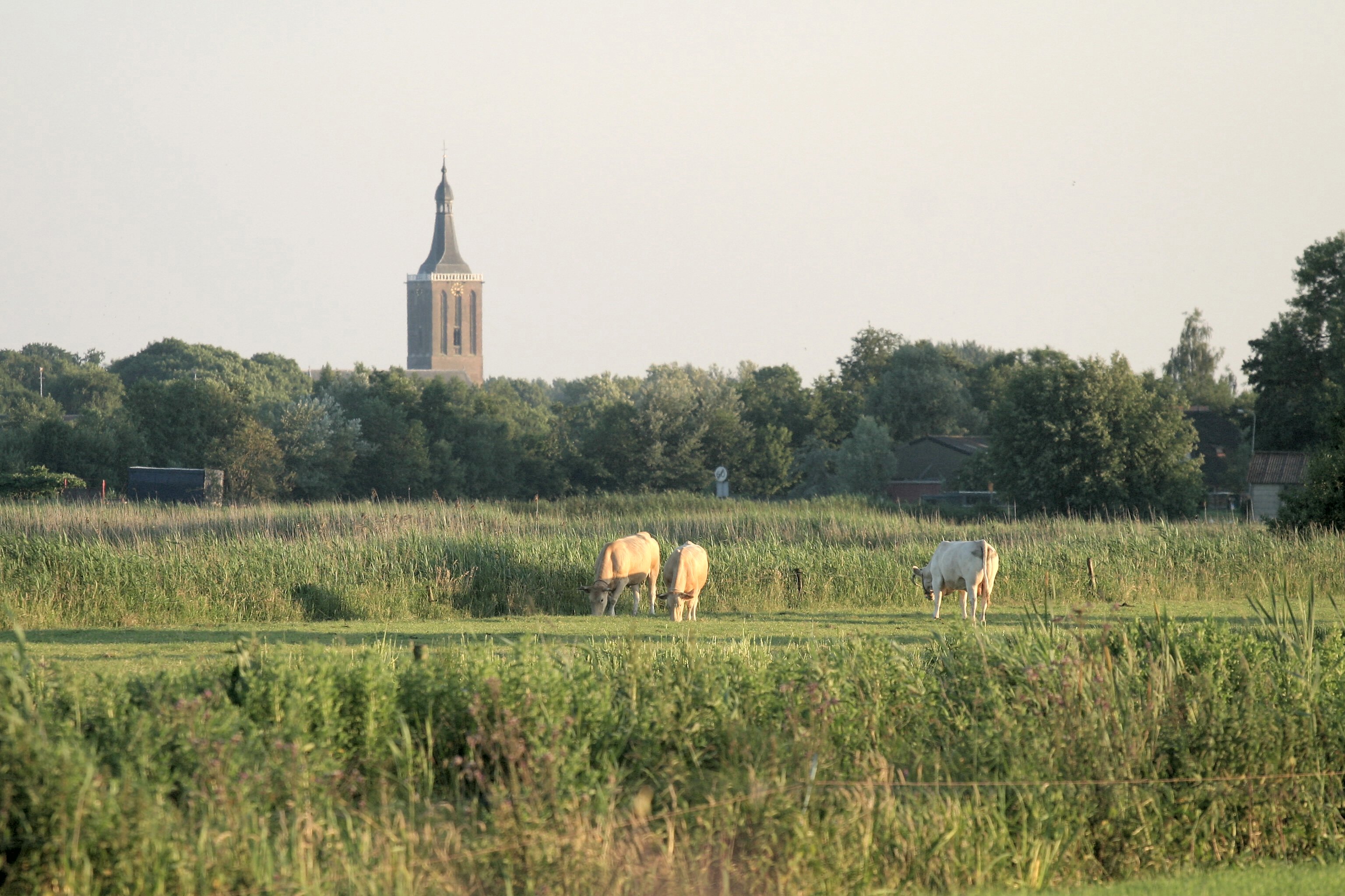 afbeelding "i_NL.IMRO.1896.SV2011-0003_0024.jpg"