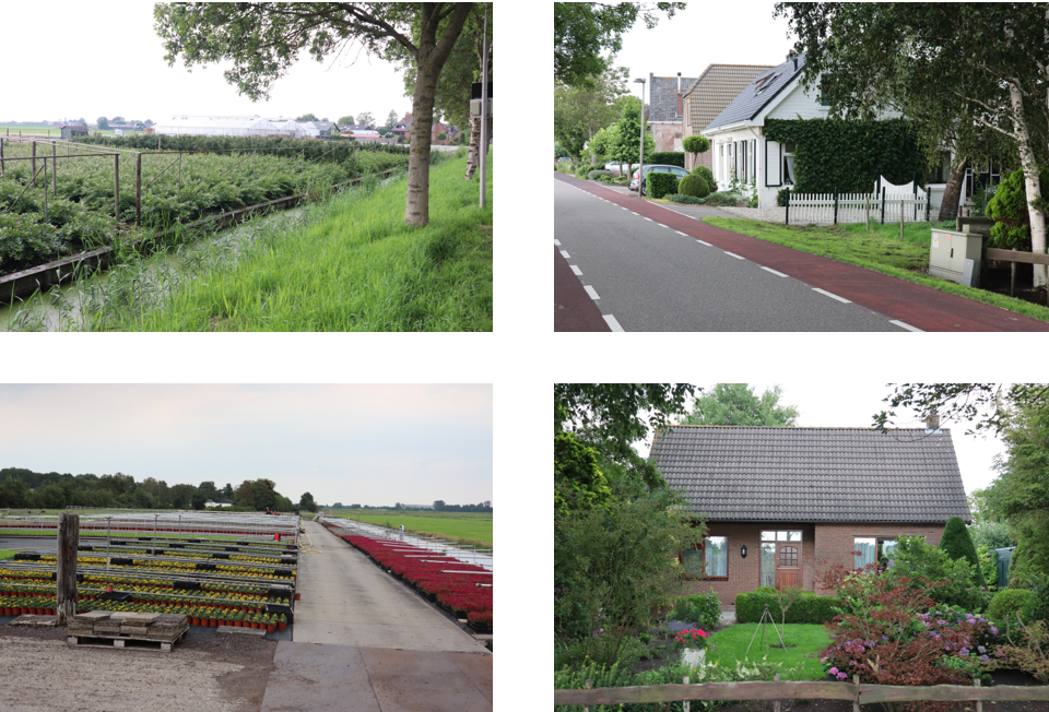 afbeelding "i_NL.IMRO.1901.WPschinkeldijk30-WP80_0003.png"