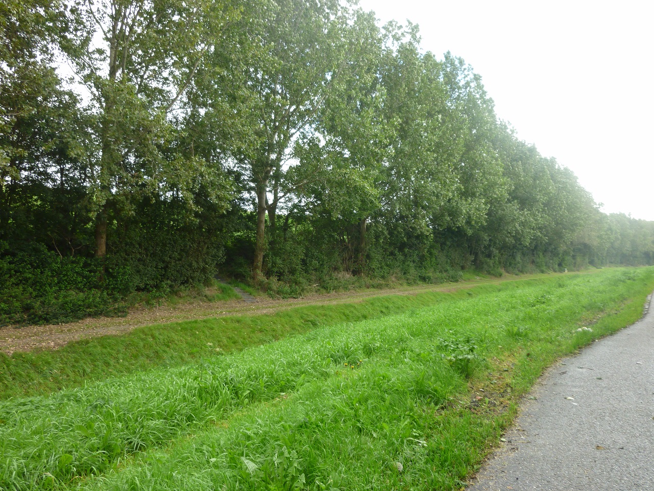 afbeelding "i_NL.IMRO.1911.BPLG2009hz006-va01_0008.jpg"