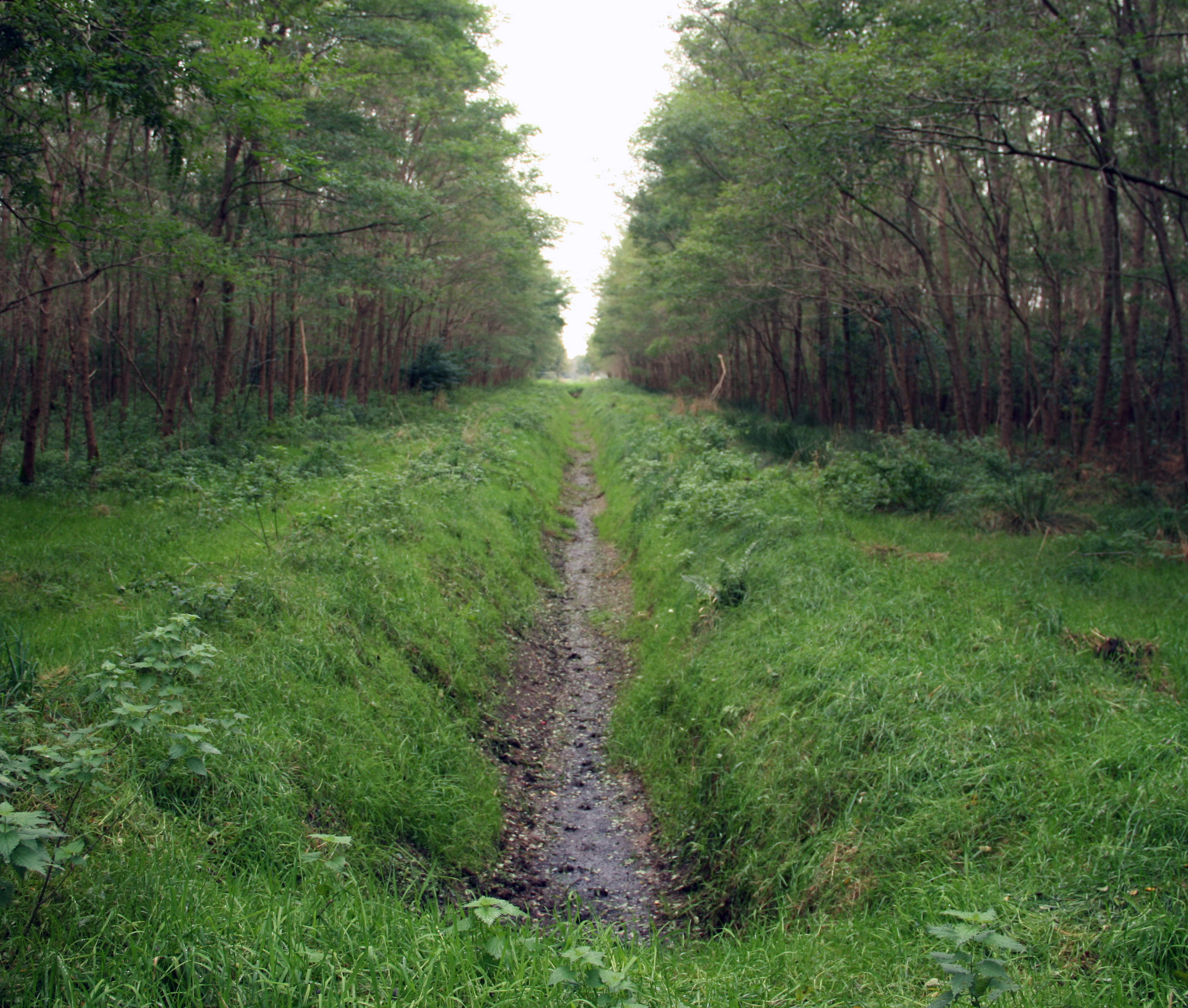 afbeelding "i_NL.IMRO.1940.BPRUI15NATUURBEGRP-VA01_0007.png"