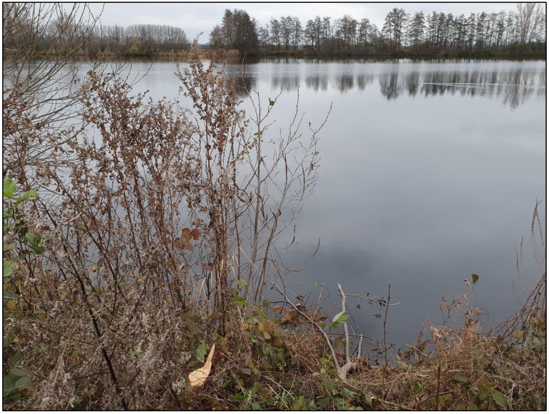 afbeelding "i_NL.IMRO.1945.BPZONNEPARKLKM-VSG1_0009.png"