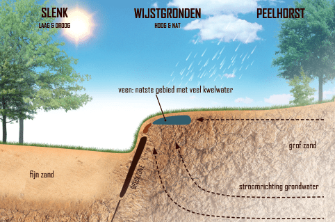 afbeelding "i_NL.IMRO.1991.BPZeelandRepelakk3-OW01_0019.png"