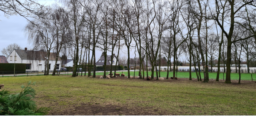 afbeelding "i_NL.IMRO.1991.LageBaan1a-VA01_0006.png"