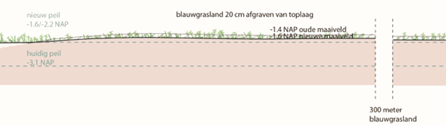 afbeelding "i_NL.IMRO.9923.PIPNoordmanen-va01_0016.png"