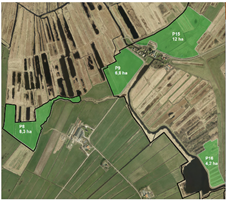 afbeelding "i_NL.IMRO.9923.PIPNoordmanen-va01_0021.png"