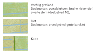 afbeelding "i_NL.IMRO.9923.PIPWieden-va01_0035.png"