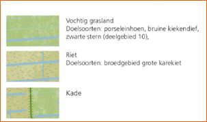 afbeelding "i_NL.IMRO.9923.PIPWieden-va01_0048.png"