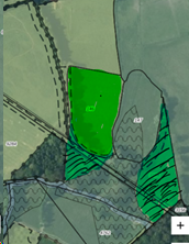 afbeelding "i_NL.IMRO.9923.pbLGOldenzaalHer01-va01_0007.png"