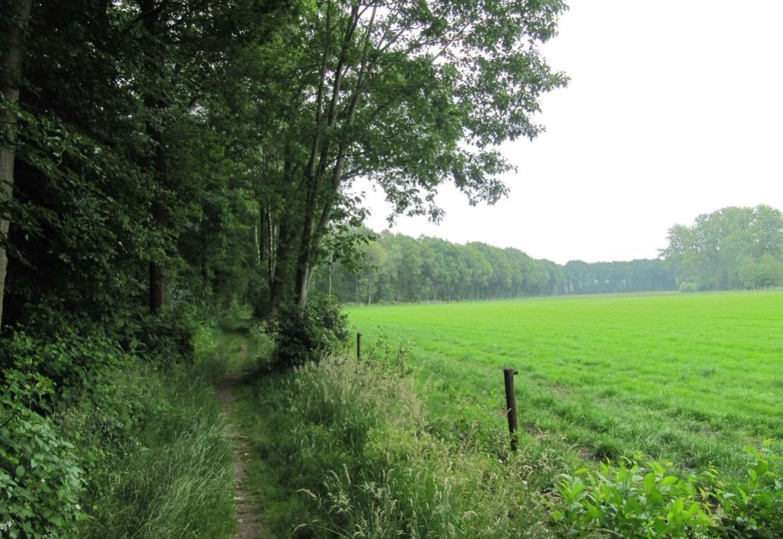 afbeelding "i_NL.IMRO.0203.1740-0001_0001.png"