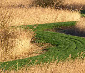 afbeelding "i_NL.IMRO.0307.BP00165-0301_0022.png"